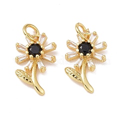 Porte micro ouvrent pendentifs zircone cubique en laiton de placage&nbsp;KK-E033-11G