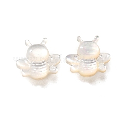 Natürlichen weißen Muschelperlen&nbsp;BSHE-Z008-06