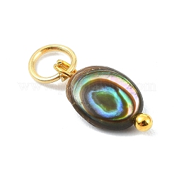 Natur Paua Muschel Anhänger&nbsp;PALLOY-JF05290-01