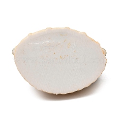 Undurchsichtige Harz-Decoden-Cabochons im Obstimitat&nbsp;RESI-G076-01E