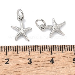 Messing Anhänger & Charms&nbsp;KK-P349-03P
