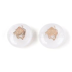 Perles de coquillages naturels d'eau douce&nbsp;SHEL-N037-02A-G
