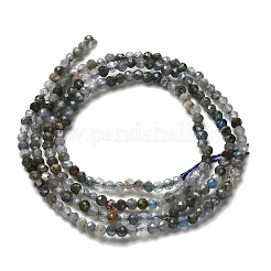 Chapelets de perles en apatite naturelle&nbsp;G-RM2025-A23-2mm