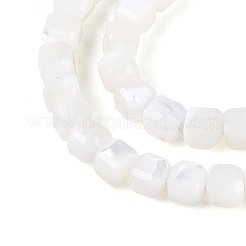 Natürliche Trochidschale / Trochusschalenperlenstränge&nbsp;BSHE-T014-52A-01