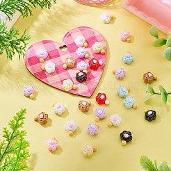 30 Stück undurchsichtige Harz-Decoden-Cabochons&nbsp;RESI-TADJ0001-15