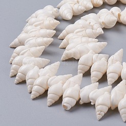Natürlichen Spiralmuschelperlen Stränge&nbsp;BSHE-I016-07