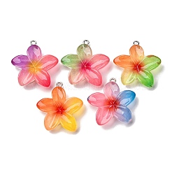 Pendentifs en résine transparente&nbsp;RESI-A046-05F
