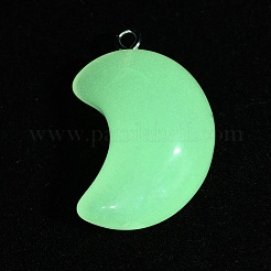 Pendentifs en résine transparents et lumineux qui brillent dans le noir&nbsp;RESI-WH0038-27B-01