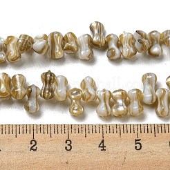 Naturali di acqua dolce perline shell fili&nbsp;SHEL-C005-03