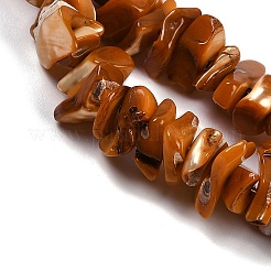 Shell perle naturali fili&nbsp;SHEL-K009-10