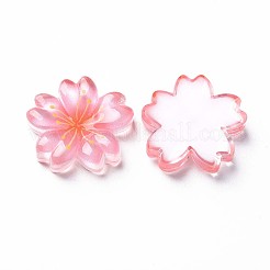 Transparente Epoxidharz-Cabochons&nbsp;LS-CRES-S365-22