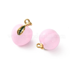 Pendentifs en acier inoxydable 304 émaillés&nbsp;SA-L002-20G-01