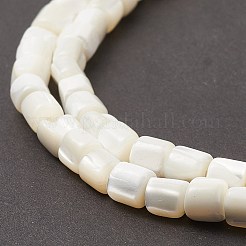 Natürliche Muschelperlenstränge&nbsp;SSHEL-M014-22-A
