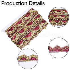Ruban de dentelle polyester scintillant&nbsp;SRIB-WH20020-049C