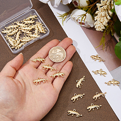 32 pièces pendentifs en alliage de style tibétain&nbsp;TIBEP-DC0001-54