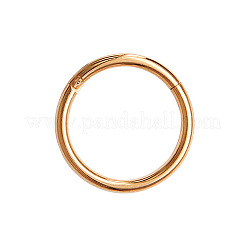 Pendientes de aro para cartílago de acero inoxidable quirúrgico 316L&nbsp;WGB51CA-05