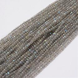 Natural Larvikite Beads Strands, Round, Faceted, 2.25mm, Hole: 0.5mm, about 140pcs/strand, 12.5 inch(32cm)