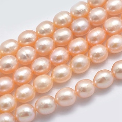 Natural Cultured Freshwater Pearl Beads Strands, Oval, Sandy Brown, 6.5~7x5.5~6mm, Hole: 0.8mm, about 44pcs/strand, 14.17 inch(36cm)