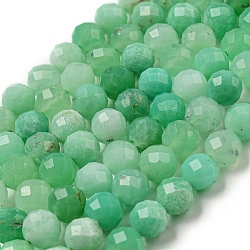 Brins naturels de perles de chrysoprase, facette, ronde, 6mm, Trou: 0.8mm, Environ 63~79 pcs/chapelet, 14.92~15.12'' (37.9~38.4 cm)