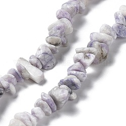 Fili di perline di turchese viola naturale, pezzo, 1~8x5~17x5~8mm, Foro: 0.9~1 mm, 30.31~31.50'' (77~80 cm)