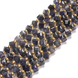 Perles naturelles Iolite brins, avec des perles de rocaille, facette, perles de cube en diagonale, 5~6x5~6x4~5mm, Trou: 1mm, Environ 49~55 pcs/chapelet, 15.35''~15.75'' (39~40 cm)