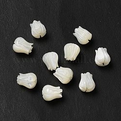 Natürliche Trochidschale / Trochusschalenperlen, Blume, Muschelfarbe, 7x6 mm, Bohrung: 1 mm