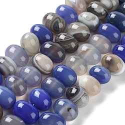 Cuentas de ágata natural hebras, teñido y climatizada, huevo, azul real, 15~17x11~12mm, agujero: 1.6 mm, aproximamente 14~15 pcs / cadena, 6.69~6.89 pulgada (17~17.5 cm)