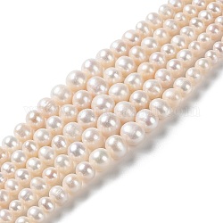 Chapelets de perles de nacre naturell, rond dégradé, papayawhip, 4~11x3~10mm, Trou: 0.5mm, Environ 77 pcs/chapelet, 15.87'' (40.3 cm)