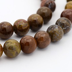 Bois pétrifié naturel brins de perles rondes, 4mm, Trou: 0.7mm, Environ 98 pcs/chapelet, 15.7 pouce