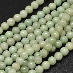 Runde natürliche myanmarische Jade / Burmese Jade Perlenstränge, 6 mm, Bohrung: 1 mm, ca. 64 Stk. / Strang, 15.7 Zoll