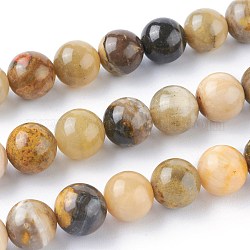 Natural Bumblebee Jasper Beads Strands, Round, 12mm, Hole: 1.2mm, about 34pcs/strand, 15.75 inch(40cm)