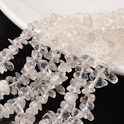 Puce quartz naturel perles de cristal brins, perles de cristal de roche, 4~6x8~12x2~4mm, Trou: 1mm, environ 32 pouce