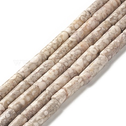 Chapelets de perles maifanite/maifan naturel pierre , colonne, 13.5x4mm, Trou: 0.5mm, Environ 29 pcs/chapelet, 15.43 pouce (39.2 cm)