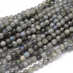 Natural Labradorite Round Bead Strands, Faceted, 6mm, Hole: 1mm, about 74pcs/strand, 16 inch