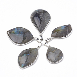 Natural Labradorite Pendants, with Platinum Tone Iron Clasps, Mixed Shapes, 31~53x19~28x6~9mm, Hole: 7x3mm