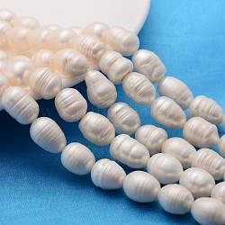 Klasse eine natürliche kultivierte Süßwasserperle Perlen Stränge, Reis, natürliche Farbe, weiß, 10~11 mm, Bohrung: 0.8 mm, 14.96 Zoll