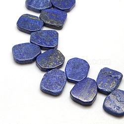 Natural Lapis Lazuli Beads Strands, Dyed & Heated, 23~26x20~25x4~5mm, Hole: 1mm, about 26pcs/strand, 15.74inch