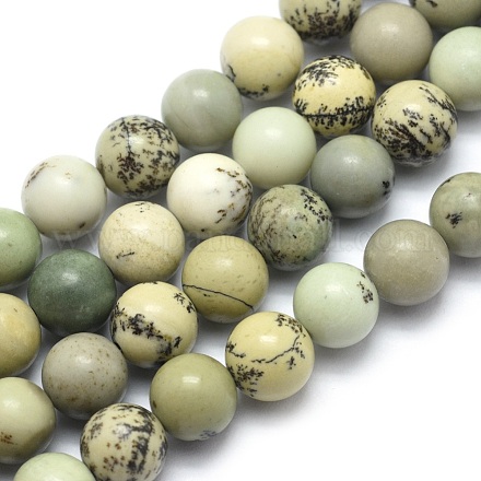 Chapelets de perles de jaspe dendritique naturelle G-E501-8mm-01-1