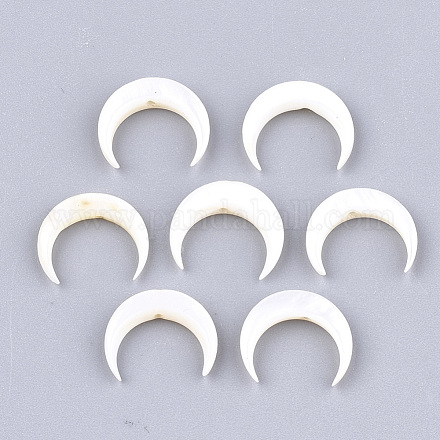 Natural Freshwater Shell Beads X-SHEL-T012-12-1