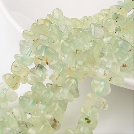 Chapelets de perles en préhnite naturelle G-M348-09-1
