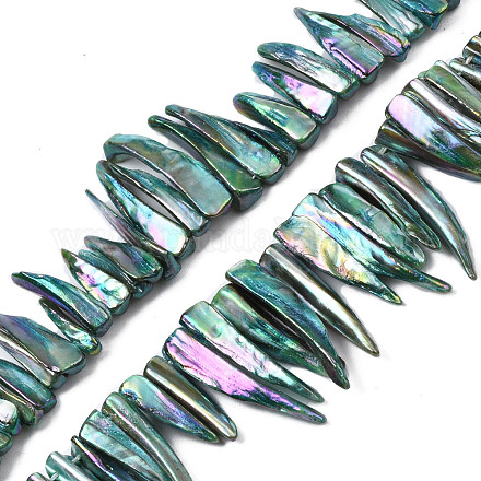 Electroplated Natural Freshwater Shell Beads SHEL-N026-197C-1