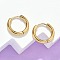 Ion Plating(IP) 304 Stainless Steel Huggie Hoop Earrings, Hypoallergenic Earrings, with 316 Surgical Stainless Steel Pin, Golden, 10 Gauge, 16x2.5mm, Pin: 1mm, Inner Diameter: 10mm