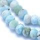 Natural Larimar Beads Strands G-I279-D01-04-3