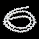 Brins de perles de coquillages naturels de troca BSHE-P033-08-5