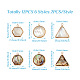 Craftdady 12 pz 6 stili set di ciondoli conchiglia naturale SHEL-CD0001-03-4