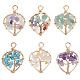 SUNNYCLUE 6Pcs 6 Styles Natural & Synthetic Gemstone Chip Pendants G-SC0001-91-1