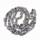 Natural Labradorite Beads Strands G-T064-48-2
