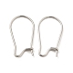 316 boucles d'oreilles en acier inoxydable chirurgical accessoires fils d'oreille rénaux X-STAS-E009-6-1