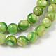 Natural Shell Beads Strands M-PRB001Y-3