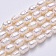 Natural Cultured Freshwater Pearl Beads Strands X-PEAR-S012-41B-2